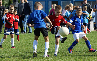 Skrzaty zakończyły