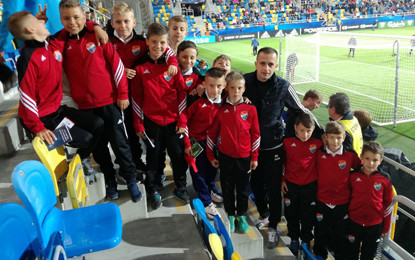 Młodzik podzielony