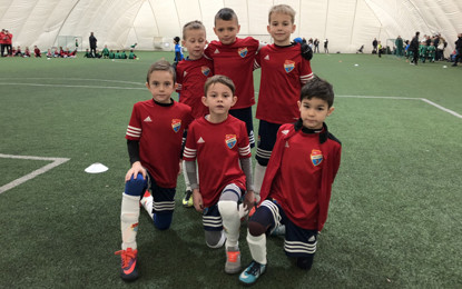 Doświadczenie zebrane